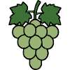 Grapes Grapevine Wine Gift Wine Drinker