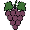 Grapes Green Grapevine Wine Gift