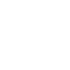 Cactus Lines Minimalist Style