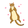 Undskyld, jeg er forsinket, jeg så en kat