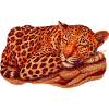 Leopard Motif Sleeping