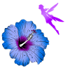 Hibiscus and flying fairies silhouette