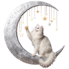 Moon Cat and Stars