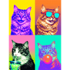 Cats American Bobtail Cat
