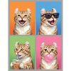 Katzen American Curl Katze