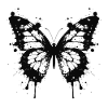 Black Butterfly Splashes