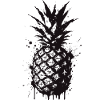 Pineapple Splash Black