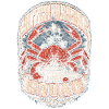 Alaska King Crab Dutch Harbour Squad