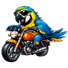 Parrot on the motorcycle