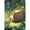 Sun hamster in the grass