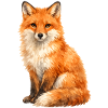 Renard aquarelle dans la forêt