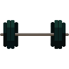 Barbell Dumbbell