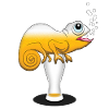 Beer Drinking Chameleon