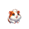 Guinea Pig Therapy