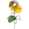 Sunflower Line Art Design