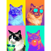 Cats Balinese Cat