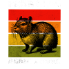 Agouti Aguti