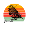 Funny zebra finch sayings