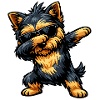 Dabbing Yorkshire Terrier