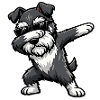 Dabbing Miniature Schnauzer