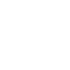 Zebu motif