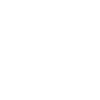 Team Zebu Round Bull Logo