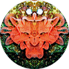 Nature Mandala Underwater Reflection