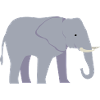 Elephant embroidered