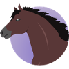 Embroidered horse head