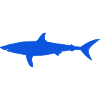 Shark embroidered