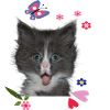 Cute Cat