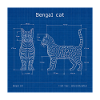 Technical Cats Illustration