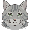 Graues Katzengesicht Illustration