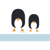 Geometric Black Penguins Duo