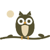 Olive Night Owl