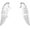 Winged Rock and Roll