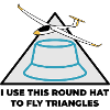 Round Hat Flies Triangles V2
