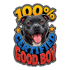 Staffordshire Bull Terrier
