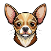 Chihuahua Dog
