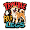 Akita