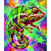 chameleon