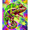 caméléon