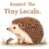 Respect The Tiny Locals Hedgehog Nature