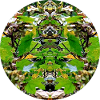 Nature Mandala Foliage