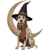 Dalmatian Witch Crescent Moon T-Shirt Halloween