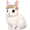 Blanc de Hotot Rabbit