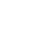 Pissenlit