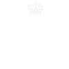 AIDEN Handle It