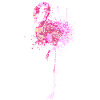 Flamingo Splash Art