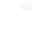AIDAN Handle It